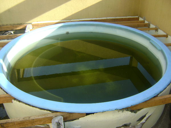 img-produto-grande